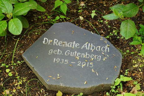 Bad Godesberg